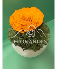 Aranjament cu trandafir criogenat galben